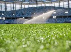 施洛特贝克,坦言,欧冠资格难,新葡京,新葡京app,新葡京娱乐,新普京赌场