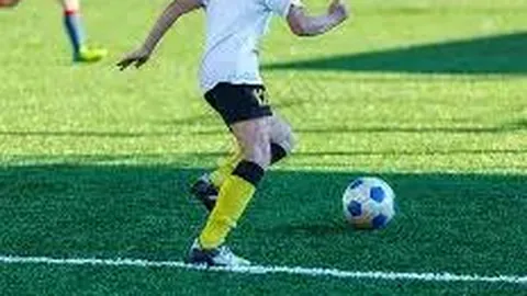 巴西国家足球队世界杯夺冠次数排行榜